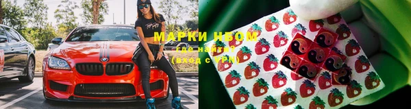 гидра Медногорск