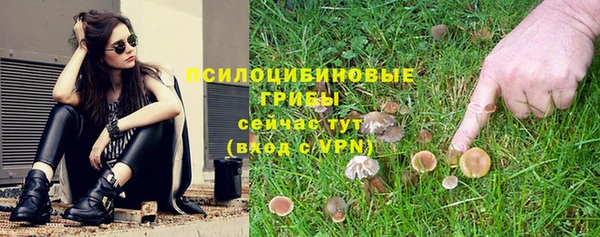 альфа пвп Медвежьегорск