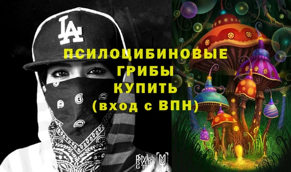 альфа пвп Медвежьегорск