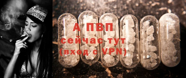 гидра Медногорск