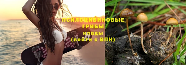 трава Сатка
